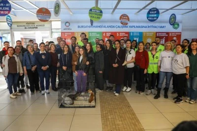 Bursa'da &lsquo;2. Kedi Yuvalandırma Etkinliği&rsquo; ger&ccedil;ekleşti