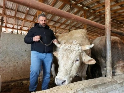 Bursa'da 500 bin liradan satışa &ccedil;ıktı