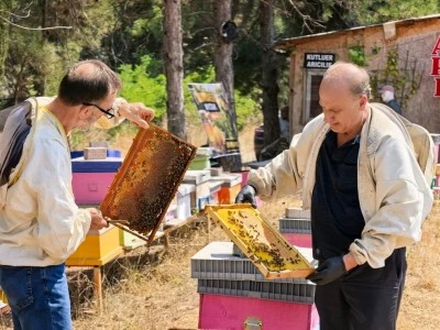 Bursa'da 51 yıldır arıcılık yapıyor
