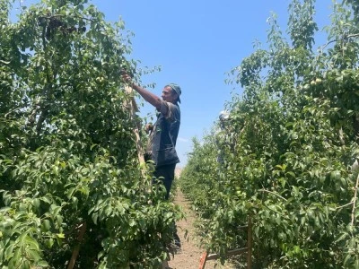Bursa'da 8 saatlik &ccedil;alışmaya bin 200 lira yevmiye