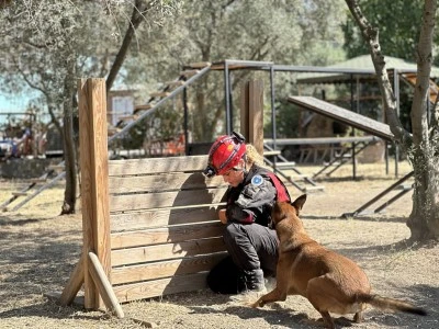 Bursa'da 'Afet ve acil kurtarma' k&ouml;pekleri g&ouml;reve hazır
