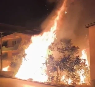 Bursa&rsquo;da alev alan ağa&ccedil;lar villaları b&ouml;yle tehdit etti