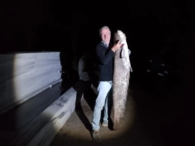 Bursa'da amat&ouml;r balık&ccedil;ı devasa yayın balığı yakaladı