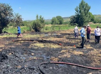 Bursa'da anız ateşi 20 d&ouml;n&uuml;m&uuml; k&uuml;le &ccedil;evirdi