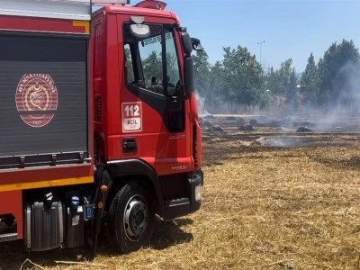 Bursa'da anız yangını