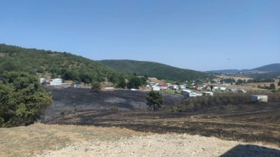 Bursa'da anız yangını ormana sı&ccedil;radı 