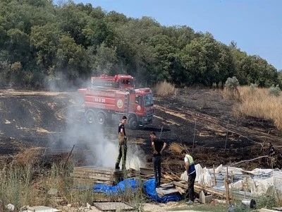 Bursa'da anız yangını, ormana sı&ccedil;ramadan kontrol altına alındı