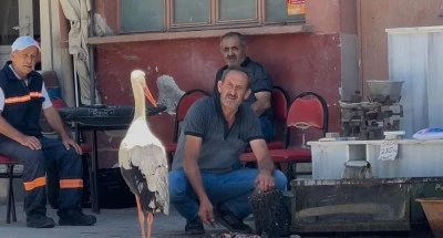 Bursa'da Balık&ccedil;ı Ahmet ile leyleğin 10 yıllık kahvehane randevusu