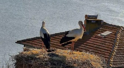 Bursa'da beklenen buluşma ger&ccedil;ekleşti