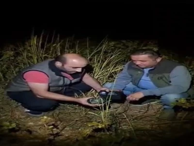 Bursa'da bıldırcın avlamak i&ccedil;in akılalmaz d&uuml;zenek