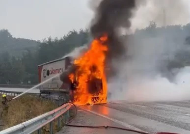 Bursa'da bir ara&ccedil; daha yandı