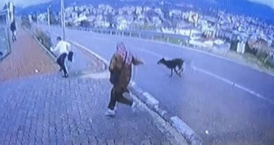 Bursa'da bir k&ouml;pek 2 kadın ve &ccedil;ocuğa saldırdı: &Ccedil;ocuk ka&ccedil;arken bacağını kırdı