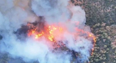 Bursa'da bir yangın daha! 