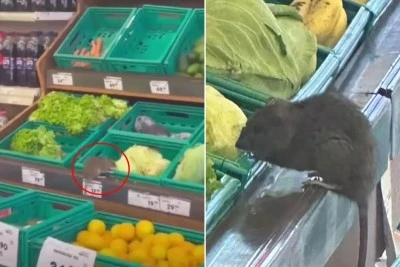 Bursa'da bir zincir markette yaşanan olaya vatandaşlardan b&uuml;y&uuml;k tepki