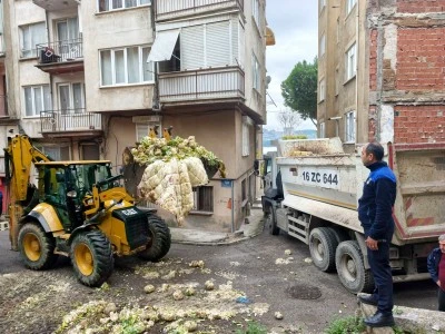 Bursa'da boş bir arsaya tonlarca karnabahar d&ouml;k&uuml;lm&uuml;ş halde bulundu
