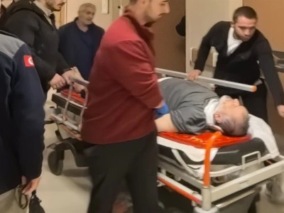 Bursa'da budamak i&ccedil;in &ccedil;ıktığı ağa&ccedil; sonu oluyordu