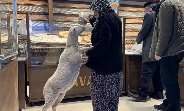 Bursa'da b&uuml;y&uuml;k kavuşma