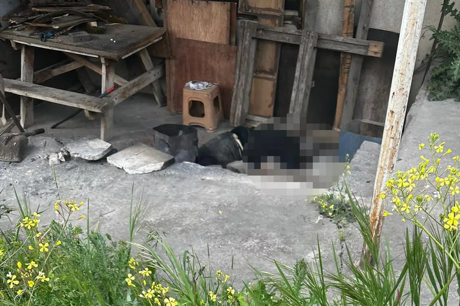 Bursa'da bek&ccedil;i işletme &ouml;n&uuml;nde &ouml;l&uuml; bulundu