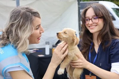 Bursa'da can dostlar yeni yuvalarına kavuştu