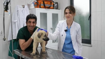 Bursa'da can dostlarımıza &ouml;zel bakım