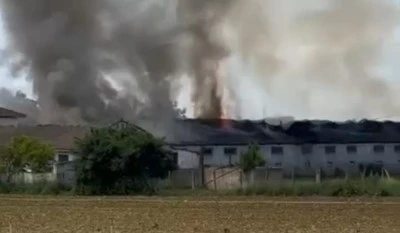 Bursa'da canlı hayvan &ccedil;iftliğinde yangın