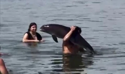 Bursa'da &ccedil;ekilen g&ouml;r&uuml;nt&uuml;ler T&uuml;rkiye g&uuml;ndeminde