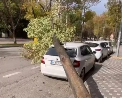 Bursa'da &ccedil;ıkan lodos b&uuml;y&uuml;k hasar veriyor!