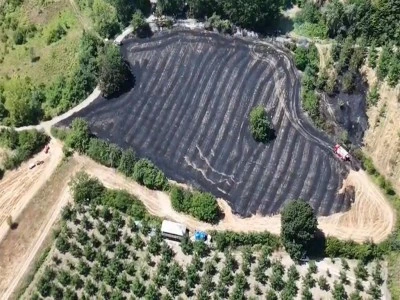 Bursa'da &ccedil;ıkan yangında 30 d&ouml;n&uuml;m alan zarar g&ouml;rd&uuml;