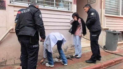 Bursa'da &ccedil;ıkan yangında 5 kediden 2'si kurtarılamadı