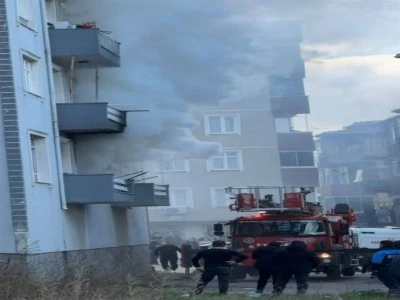 Bursa'da &ccedil;ıkan yangında yatalak hasta ile kedisi &ouml;ld&uuml;