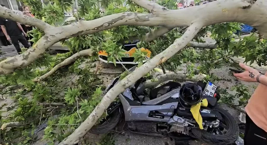 Bursa'da devrilen ağa&ccedil; 2 ara&ccedil; ile bir motosikletin &uuml;zerine d&uuml;şt&uuml;