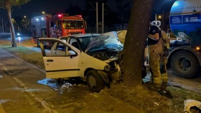 Bursa'da direksiyon hakimiyetini kaybeden s&uuml;r&uuml;c&uuml; ağaca &ccedil;arptı: 2 yaralı