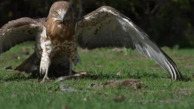 Bursa'da doğal yaşamın en &ouml;zel g&ouml;r&uuml;nt&uuml;s&uuml;