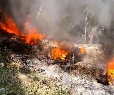 Bursa'da facia vatandaşlar tarafından &ouml;nlendi