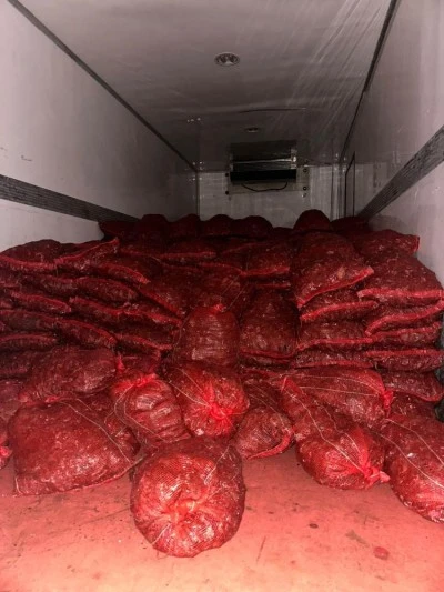 Bursa'da halk sağlığını tehdit eden 10 ton midye ele ge&ccedil;irildi 