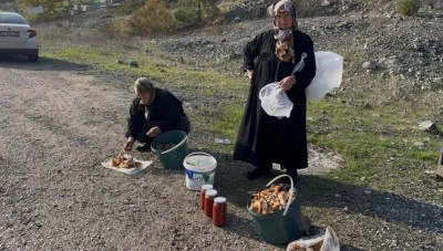 Bursa'da iki yaşlı kadın gen&ccedil;lere taş &ccedil;ıkartıyor