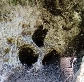 Bursa&rsquo;da jandarmadan ka&ccedil;ak kazıya su&ccedil;&uuml;st&uuml;