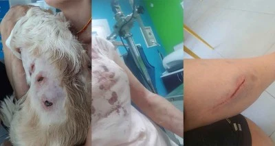 Bursa&rsquo;da kangal dehşeti...