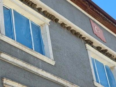 Bursa'da kırlangı&ccedil; yuvalarını bozmayıp pencereleri naylonla kapladılar