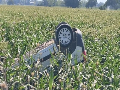 Bursa'da kontrolden &ccedil;ıkan ara&ccedil; mısır tarlasına u&ccedil;tu