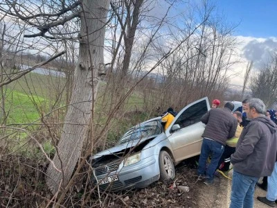 Bursa'da kontrolden &ccedil;ıkan otomobil ağaca &ccedil;arptı