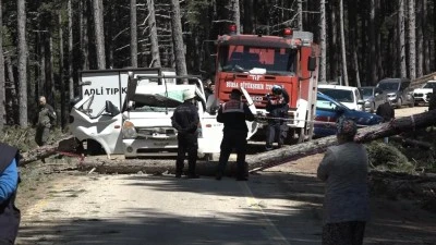 Bursa'da korkun&ccedil; &ouml;l&uuml;m: Kesilen &ccedil;am ağacı seyir halindeki kamyonetin &uuml;zerine d&uuml;şt&uuml;