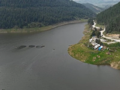 Bursa'da koyunların otladığı baraj tekrar doldu