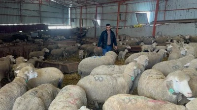 Bursa'da k&uuml;&ccedil;&uuml;kbaş hayvancılığa başlayacaklara &ouml;nemli tavsiyeler!