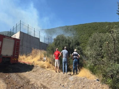 Bursa'da makilik alanda yangın