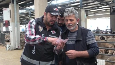 Bursa&rsquo;da mali polisten kurban pazarlarında "Sahte Para" alarmı!