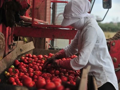 Bursa'da mevsimlik iş&ccedil;ilerin &ccedil;ocukları arkadaşlarından geri kalmamak i&ccedil;in &ccedil;adırda ders &ccedil;alışıyor