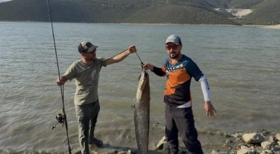 Bursa'da oltasıyla dev yayın balığı yakaladı
