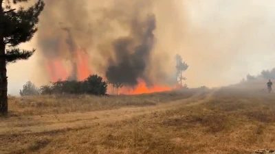 Bursa&rsquo;da orman aygını
