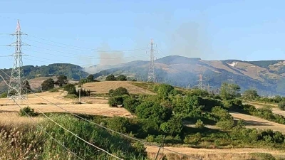 Bursa&rsquo;da orman yangını